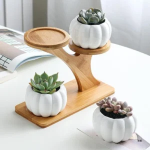 Bamboo Succulents Plant Stand Creative 2 Branches Tabletop Flower Rack Mini Flowerpot Shelf for Home Tabletop Decorations
